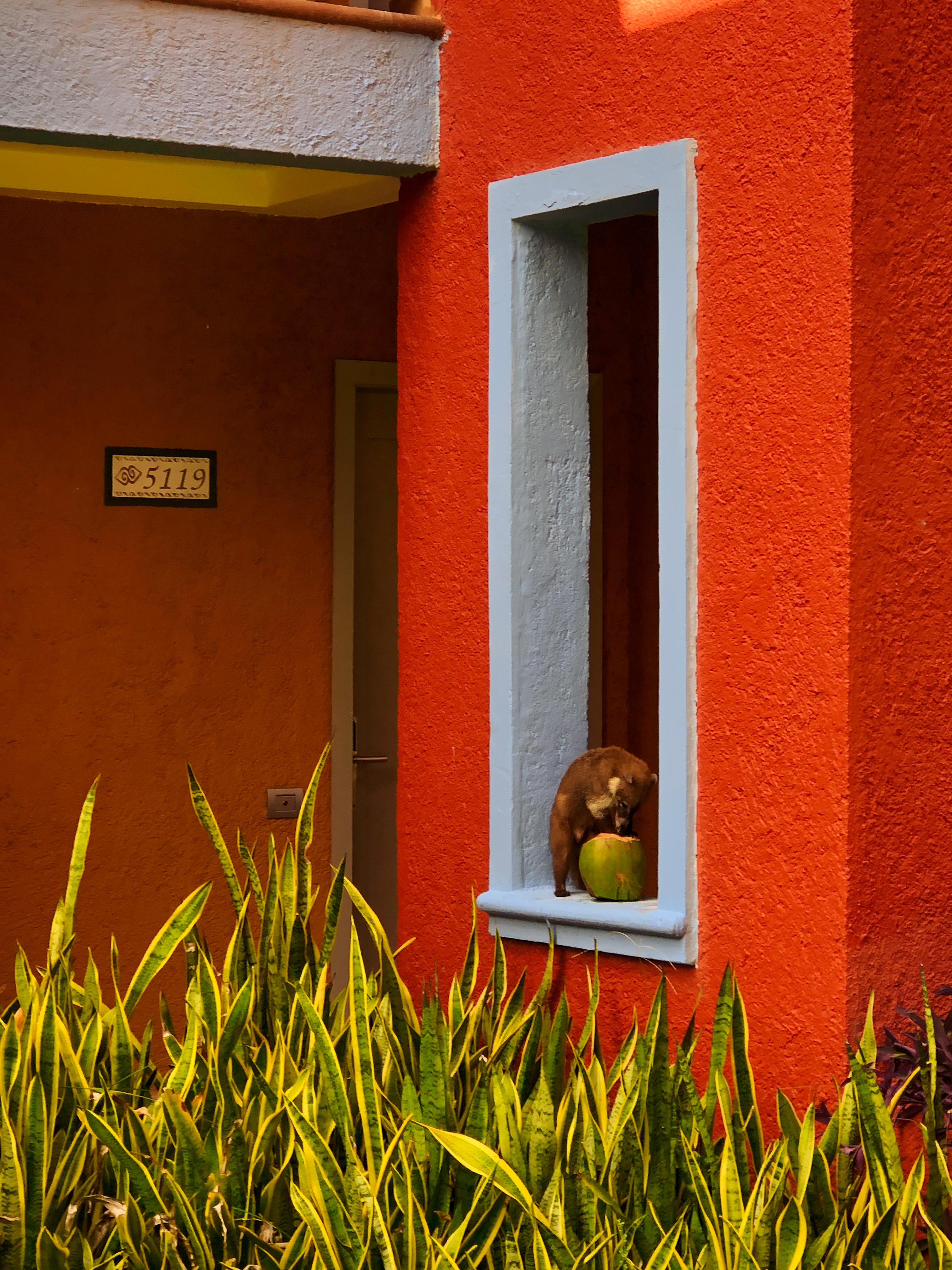 Mexican boutique property architectural detail with native wildlife