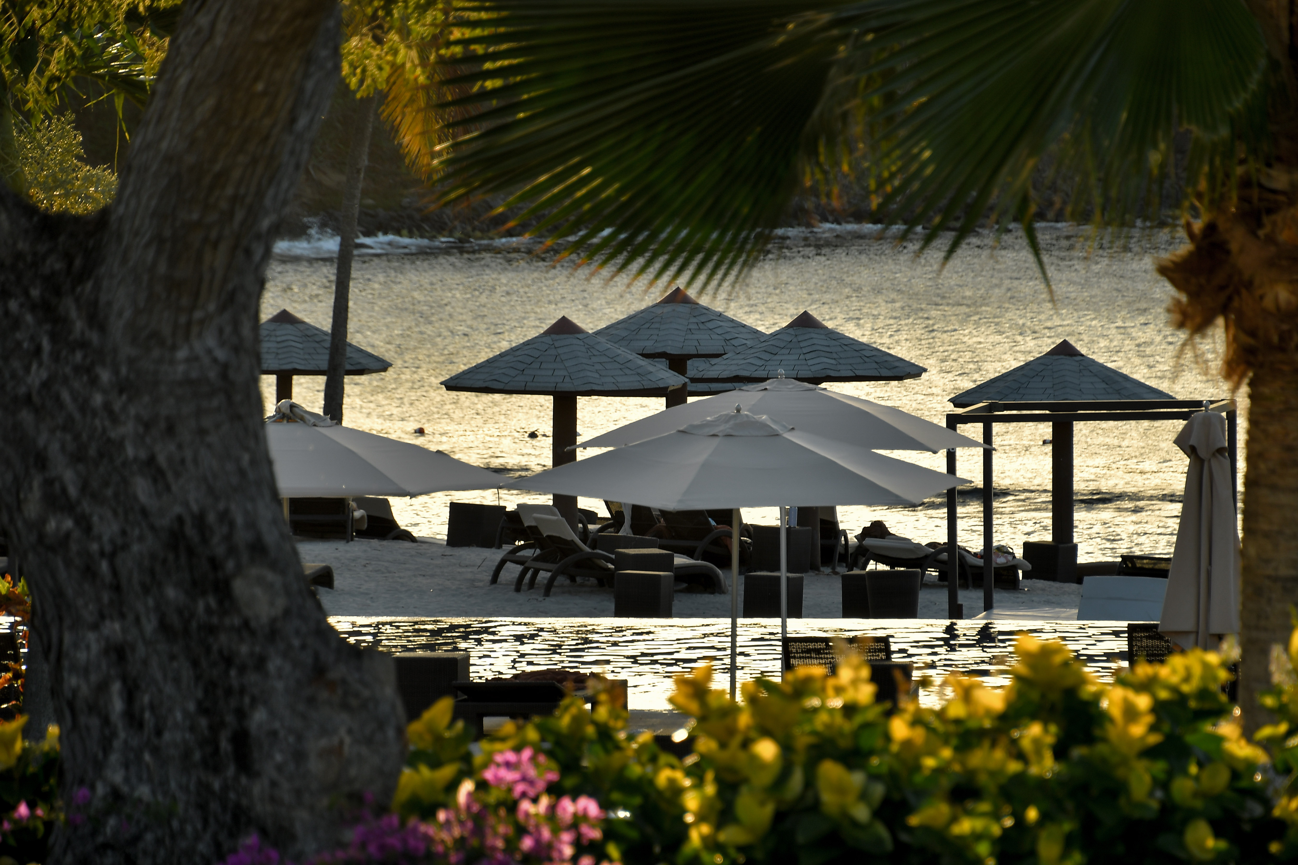 Caribbean sea view framed by resort greenery
